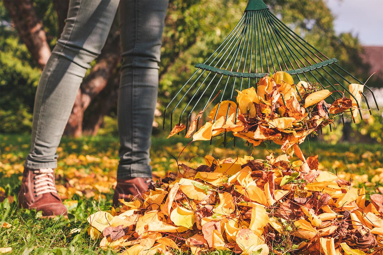 5 passaggi per rigenerare il prato in autunno it 000
