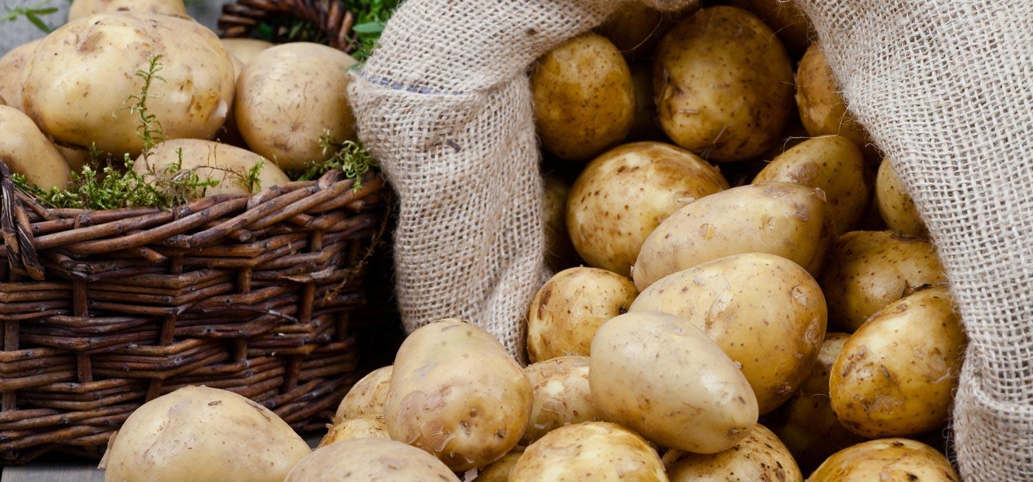 coltivare patate in vaso come e quando piantarle it 000