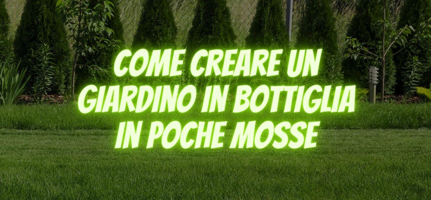 Come creare un fantastico Giardino in Bottiglia in pochi semplici passaggi! 1 come creare un giardino in bottiglia in poche mosse it 000