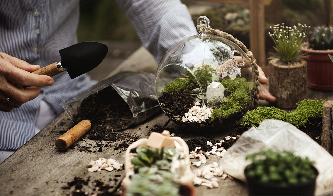 giardino in miniatura un angolo di verde sempre con te it 000