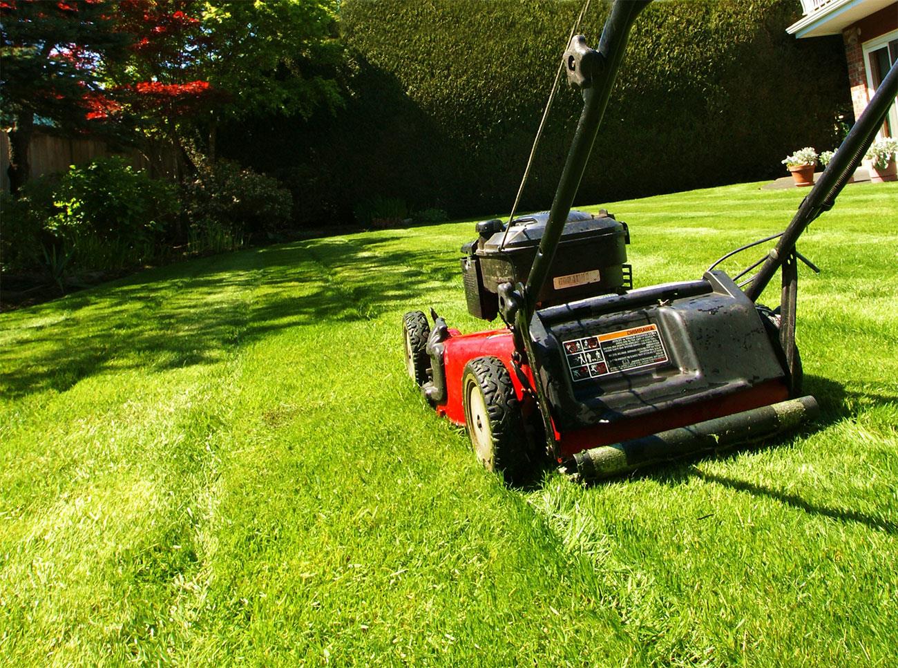 guida acquisto trattorino rasaerba mulching erba it 000