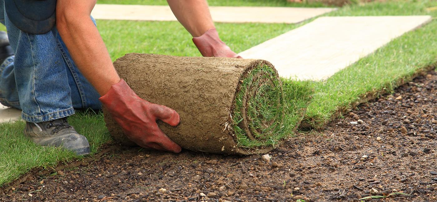 Prato a rotoli: preparazione del terreno e posa 1 prato a rotoli preparazione del terreno e posa it 000