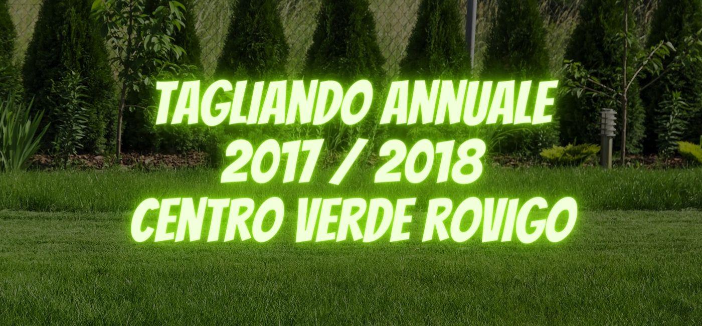 tagliando annuale 2017 2018 centro verde rovigo it 000